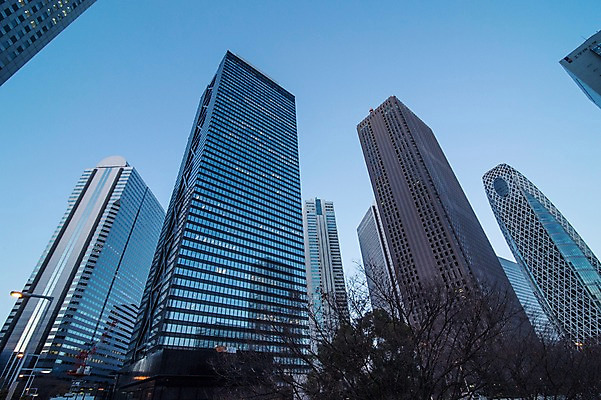 포토 JPG 주간 나무 식물 해외풍경 건축물 현대건축 로우앵글 하늘 풍경 빌딩 사람없음 야외 도시풍경 일본 고층빌딩 도시 도쿄 신주쿠 국내포토 자연요소 해외 건축 아시아 뷰포인트 건물 파일형식
