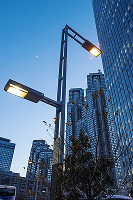 포토 JPG 주간 나무 식물 해외풍경 건축물 가로등 하늘 조명 풍경 빌딩 사람없음 야외 도시풍경 일본 고층빌딩 도시 도쿄 신주쿠 국내포토 자연요소 해외 공공시설 건축 아시아 건물 파일형식