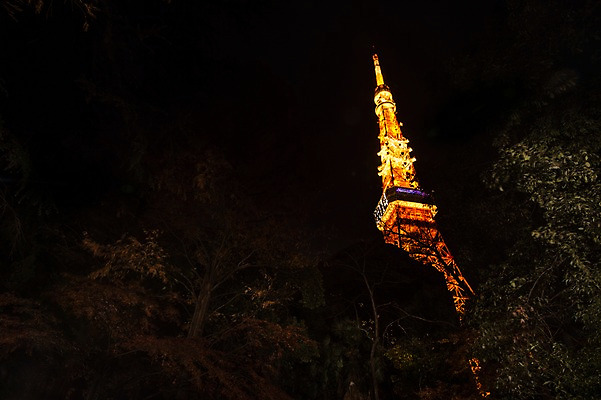 포토 JPG 나무 식물 해외풍경 건축물 현대건축 로우앵글 야경 조명 사람없음 야외 도시풍경 탑 일본 도시 도쿄타워 국내포토 해외 건축 아시아 뷰포인트 풍경 야간 파일형식 풍경_경치