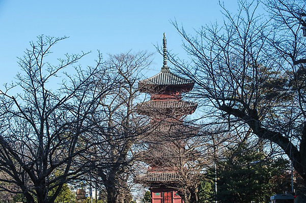 포토 JPG 주간 나무 식물 전통 해외풍경 건축물 건축 고건축 풍경 사람없음 야외 탑 일본 사찰 사원 일본건축 이케가미혼몬지 국내포토 자연요소 해외 아시아 비즈니스 종교건축 동양건축 도쿄 파일형식