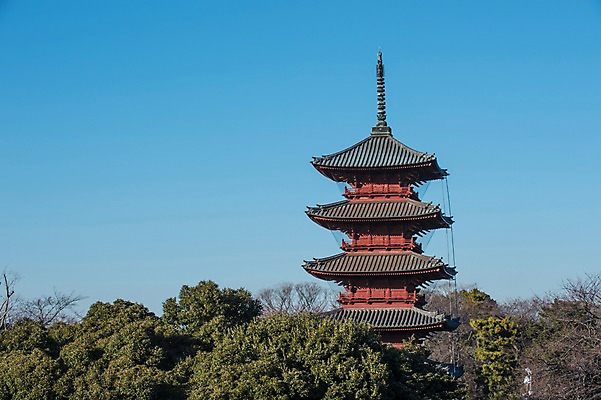 포토 JPG 주간 나무 식물 전통 해외풍경 건축물 고건축 하늘 풍경 사람없음 야외 탑 일본 사찰 사원 일본건축 이케가미혼몬지 국내포토 자연요소 해외 건축 아시아 비즈니스 종교건축 동양건축 도쿄 파일형식