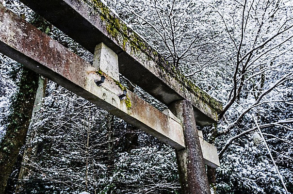 포토 JPG 주간 나무 식물 전통 해외풍경 건축물 계절 고건축 겨울 출입구 풍경 사람없음 야외 문 일본 눈 사찰 사원 일본전통 일본건축 토리이 기후현 겨울풍경 국내포토 자연요소 해외 건축 아시아 비즈니스 종교건축 날씨 동양건축 신사_건축물 파일형식