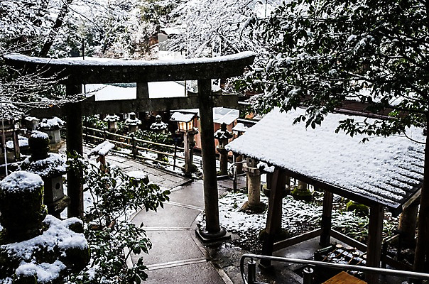 포토 JPG 나무 식물 전통 해외풍경 건축물 계절 고건축 겨울 출입구 풍경 사람없음 문 일본 눈 사찰 사원 일본건축 토리이 기후현 겨울풍경 국내포토 자연요소 해외 건축 아시아 비즈니스 종교건축 날씨 동양건축 신사_건축물 파일형식
