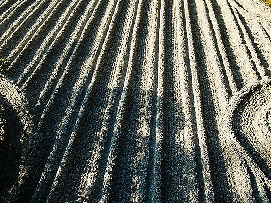 포토 JPG 주간 해외풍경 길 무늬 그림자 풍경 사람없음 야외 일본 흙 사찰 사원 신사 일본건축 교토 긴카쿠지 국내포토 자연요소 해외 아시아 종교건축 동양건축 파일형식