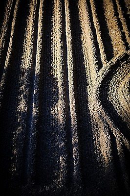 포토 JPG 주간 해외풍경 길 무늬 그림자 풍경 사람없음 야외 일본 흙 사찰 교토 긴카쿠지 국내포토 자연요소 해외 아시아 종교건축 신사_일본건축 파일형식