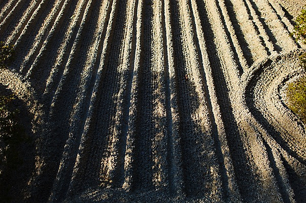 포토 JPG 주간 해외풍경 길 무늬 그림자 풍경 사람없음 야외 일본 흙 사찰 사원 교토 긴카쿠지 국내포토 자연요소 해외 아시아 비즈니스 종교건축 신사_일본건축 파일형식