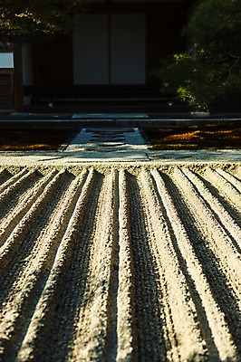포토 JPG 주간 해외풍경 건축물 풍경 사람없음 야외 일본 사찰 사원 교토 긴카쿠지 국내포토 자연요소 해외 건축 아시아 비즈니스 종교건축 신사_일본건축 파일형식