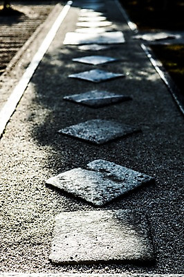 포토 JPG 주간 해외풍경 길 바닥 그림자 풍경 사람없음 야외 아웃포커스 일본 원근감 돌_바위 교토 지쇼지 국내포토 자연요소 해외 아시아 뷰포인트 촬영기법 신사_일본건축 파일형식