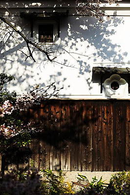 포토 JPG 주간 나무 식물 해외풍경 건축물 고건축 창문 주택 그림자 풍경 사람없음 야외 담장 일본 교토 철학의길 국내포토 자연요소 해외 건축 아시아 길 건물 파일형식