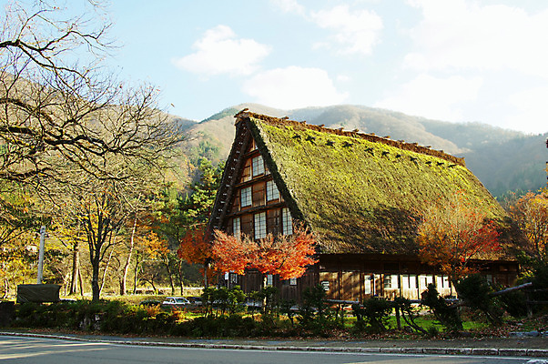포토 JPG 주간 나무 식물 구름 전통 해외풍경 건축물 단풍 고건축 하늘 산 주택 풍경 사람없음 야외 마을 일본 일본전통 시라카와마을 국내포토 자연요소 해외 건축 아시아 잎 건물 파일형식