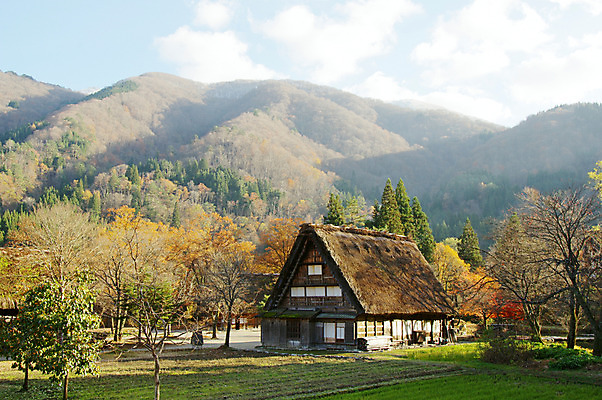 포토 JPG 주간 나무 식물 구름 전통 해외풍경 건축물 고건축 하늘 산 주택 논 풍경 사람없음 야외 마을 일본 일본전통 시라카와마을 국내포토 자연요소 해외 건축 아시아 농업 건물 파일형식