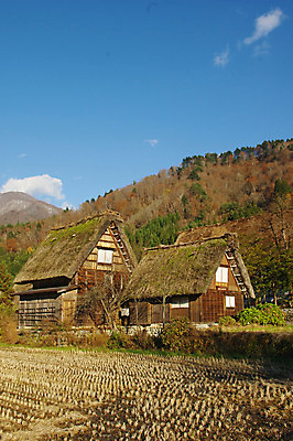 포토 JPG 주간 구름 전통 해외풍경 건축물 고건축 하늘 산 주택 논 풍경 사람없음 야외 마을 일본 일본전통 시라카와마을 국내포토 자연요소 해외 건축 아시아 농업 건물 파일형식
