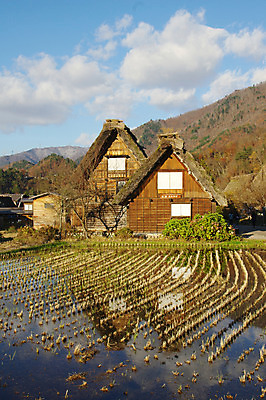 포토 JPG 주간 구름 전통 해외풍경 고건축 하늘 산 주택 논 풍경 사람없음 야외 마을 일본 일본전통 시라카와마을 국내포토 자연요소 해외 건축물 아시아 농업 건물 파일형식