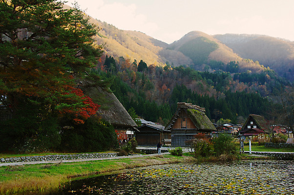 포토 JPG 주간 나무 식물 전통 해외풍경 고건축 산 주택 풍경 사람없음 야외 건물 마을 일본 연못 일본전통 시라카와마을 국내포토 자연요소 해외 건축물 아시아 파일형식