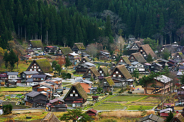 포토 JPG 주간 나무 식물 전통 해외풍경 고건축 주택 풍경 사람없음 야외 마을 일본 숲 일본전통 시라카와마을 국내포토 자연요소 해외 건축물 아시아 건물 파일형식