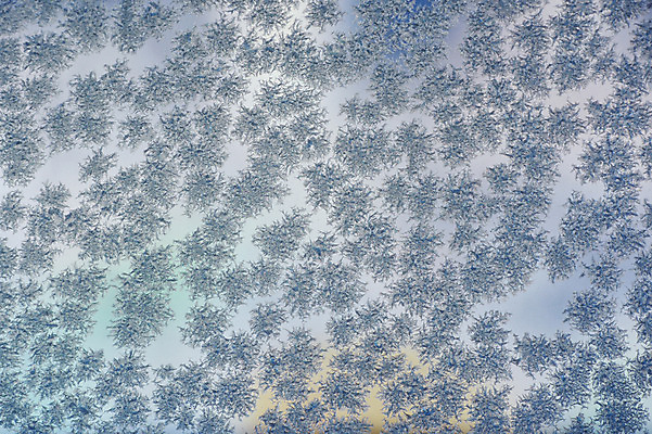 포토 JPG 계절 백그라운드 겨울 무늬 창문 자연 사람없음 얼음 추위 국내포토 자연요소 생태계 파일형식