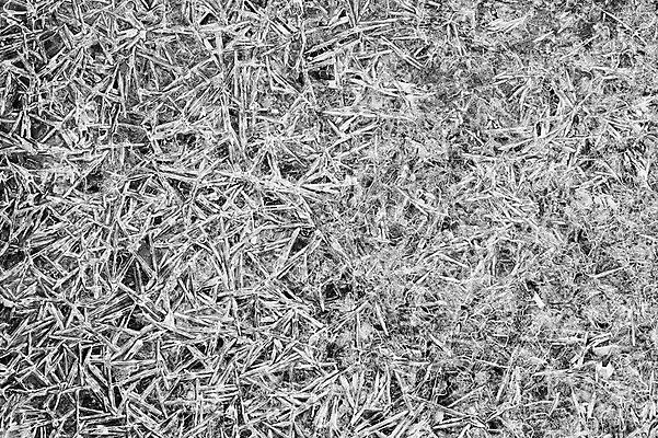 포토 JPG 계절 백그라운드 겨울 무늬 자연 사람없음 얼음 국내포토 자연요소 생태계 파일형식