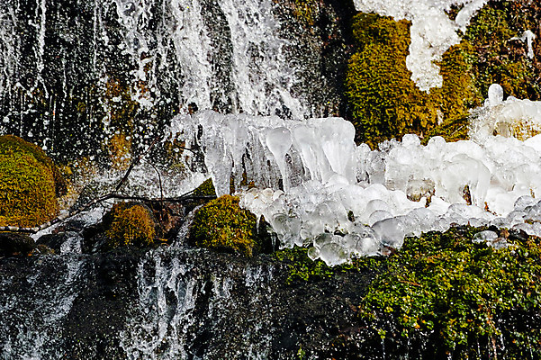 포토 JPG 주간 계절 겨울 자연 이끼 풍경 사람없음 야외 물 계곡 얼음 폭포 돌_바위 바위 고드름 겨울풍경 국내포토 자연요소 생태계 파일형식