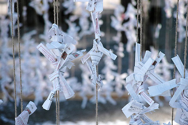 포토 JPG 주간 해외풍경 종이 줄 일본문화 매달리기 풍경 사람없음 야외 아웃포커스 일본 운세 사찰 일본전통 소원 오미쿠지 국내포토 자연요소 동양문화 전통 해외 아시아 외국문화 종교건축 모션 촬영기법 파일형식