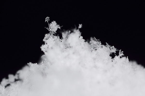 포토 JPG 계절 겨울 자연 근접촬영 사람없음 아웃포커스 얼음 눈 눈송이 국내포토 자연요소 뷰포인트 날씨 눈_날씨 촬영기법 생태계 파일형식