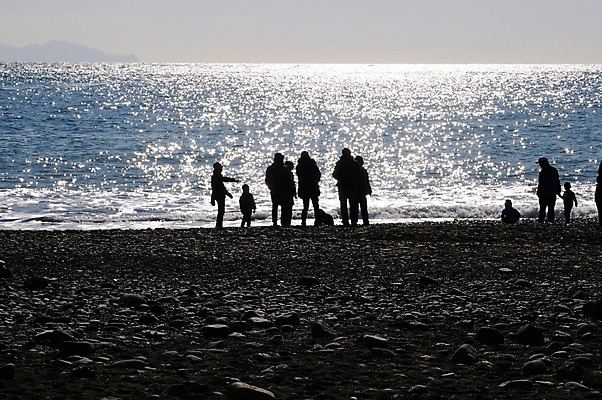 포토 JPG 주간 실루엣 어린이 바다 가족 사람 풍경 여러명 성인 해변 야외 여행객 국내포토 자연요소 다수 관계 촬영기법 파일형식