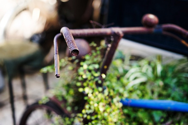 포토 JPG 식물 육상교통 교통수단 사람없음 야외 아웃포커스 자전거 빈티지 잡초 핸들 부식 국내포토 교통 컨셉 촬영기법 바이크 파일형식