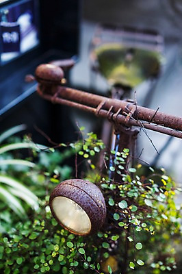 포토 JPG 식물 육상교통 교통수단 조명 사람없음 야외 아웃포커스 빛 자전거 빈티지 잡초 핸들 부식 안장 국내포토 교통 컨셉 촬영기법 바이크 파일형식