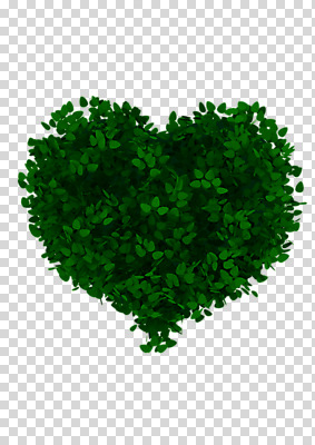 식물 편집 편집이미지 잎 사람없음 3D 하트 PNG 편집소스 모양 디지털합성 파일형식