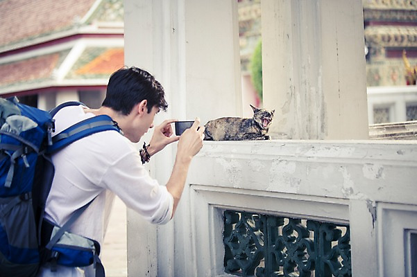 포토 JPG 주간 서양인 외국인 동물 한마리 라이프스타일 남자 맨라이프 해외여행 여행 불교 배낭 태국 2014년태국 한명 들기 사람 상반신 20대 성인 야외 옆모습 스마트폰 청춘 사진촬영 고양이 사찰 사원 구경 배낭여행 방콕 왓포 반려 청년만 청년남자만 청년남자한명만 성인남자한명만 국내포토 자연요소 해외기획촬영 1 해외 아시아 종교 뷰포인트 컨셉 가방 비즈니스 포유류 종교건축 모션 인종 청년 생활 핸드폰 스마트기기 반려동물 촬영 남자만 남자한명만 성인남자만 성인만 파일형식