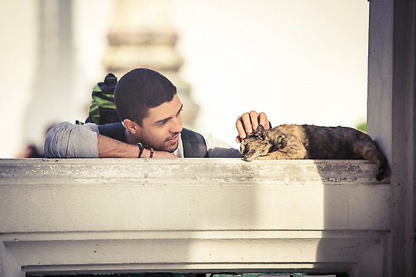 포토 JPG 주간 서양인 외국인 라이프스타일 응시 남자 맨라이프 해외여행 여행 불교 태국 2014년태국 한명 사람 손짓 상반신 20대 성인 야외 앞모습 청춘 햇빛 고양이 사찰 사원 구경 배낭여행 방콕 왓포 반려 청년만 청년남자만 청년남자한명만 성인남자한명만 쓰다듬기 국내포토 자연요소 해외기획촬영 1 해외 시선 아시아 종교 뷰포인트 컨셉 비즈니스 포유류 종교건축 모션 인종 청년 생활 반려동물 태양 남자만 남자한명만 성인남자만 성인만 파일형식