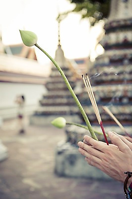 포토 JPG 주간 서양인 외국인 라이프스타일 손 남자 꽃 맨라이프 해외여행 여행 불교 태국 2014년태국 들기 사람 20대 성인 야외 두명 신체부위 친구 청춘 기도 사찰 사원 배낭여행 방콕 향 왓포 청년만 성인만 인센스스틱 국내포토 자연요소 식물 해외기획촬영 해외 아시아 종교 컨셉 비즈니스 관계 종교건축 모션 인종 청년 생활 파일형식