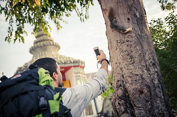 포토 JPG 주간 서양인 외국인 나무 라이프스타일 남자 맨라이프 해외여행 여행 불교 배낭 태국 2014년태국 한명 서기 들기 사람 상반신 20대 성인 야외 뒷모습 스마트폰 청춘 사진촬영 사찰 사원 배낭여행 방콕 다람쥐 왓포 청년만 청년남자만 국내포토 자연요소 식물 해외기획촬영 1 해외 아시아 종교 뷰포인트 컨셉 가방 비즈니스 종교건축 모션 인종 청년 생활 핸드폰 스마트기기 촬영 설치류 남자만 성인만 파일형식