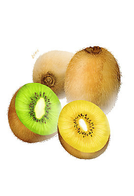 PSD 음식 컬러 과일 일러스트 식재료 키위 사람없음 초록색 농작물 노란색 여러개 디테일 국내일러스트 다수 농업 파일형식