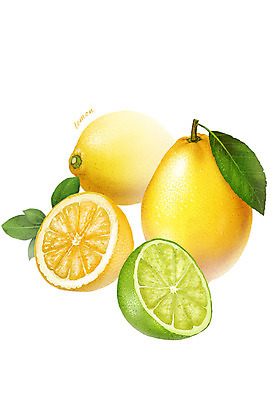 PSD 음식 컬러 잎 과일 일러스트 식재료 사람없음 초록색 농작물 노란색 레몬 디테일 국내일러스트 식물 농업 파일형식