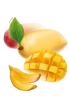 PSD 음식 잎 과일 일러스트 식재료 사람없음 농작물 망고 디테일 국내일러스트 식물 농업 열대과일 파일형식