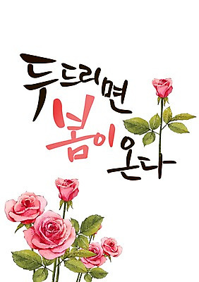 PSD 식물 손글씨 계절 꽃 캘리배경 일러스트 캘리그라피 사람없음 장미 봄 국내일러스트 백그라운드 파일형식
