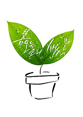 PSD 식물 손글씨 계절 화분 캘리배경 일러스트 캘리그라피 사람없음 새싹 봄 국내일러스트 백그라운드 파일형식