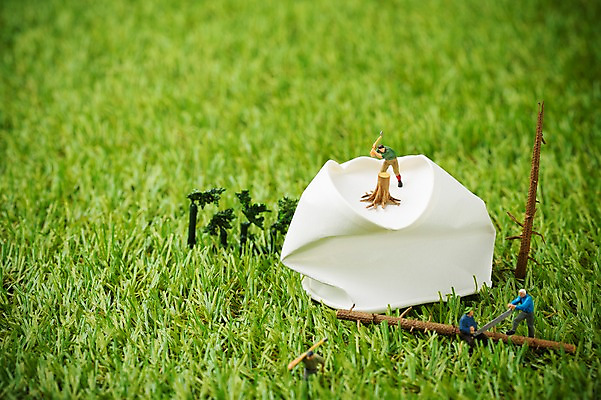 포토 JPG 스튜디오촬영 식물 백그라운드 실내 잔디 사람없음 환경 미니어처 피규어 종이컵 일회용 오브젝트 벌목 국내포토 내부 컵 모형 파일형식