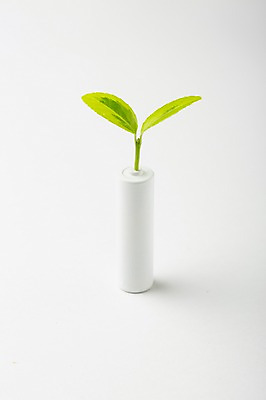 포토 JPG 스튜디오촬영 식물 백그라운드 실내 사람없음 새싹 자연보호 환경 건전지 오브젝트 국내포토 자연 내부 보호 파일형식