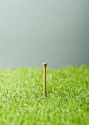 포토 JPG 스튜디오촬영 식물 백그라운드 골프 실내 잔디 사람없음 오브젝트 국내포토 내부 구기 파일형식