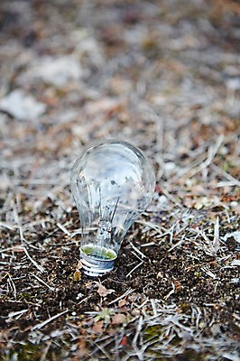 포토 JPG 주간 백그라운드 전구 자연 사람없음 야외 환경 흙 국내포토 자연요소 생태계 파일형식