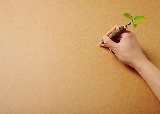 포토 JPG 스튜디오촬영 나무 식물 손 종이 백그라운드 실내 사람 신체부위 연필 새싹 환경 재활용 국내포토 학용품 내부 필기구 친환경 파일형식