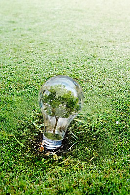 JPG 나무 식물 편집 편집이미지 계절 백그라운드 전구 잔디 사람없음 여름 3D 편집3D 디지털합성 파일형식