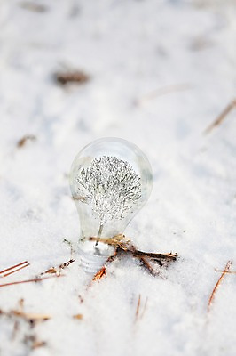 JPG 나무 식물 편집 편집이미지 계절 백그라운드 겨울 전구 사람없음 3D 눈 편집3D 자연요소 날씨 디지털합성 파일형식