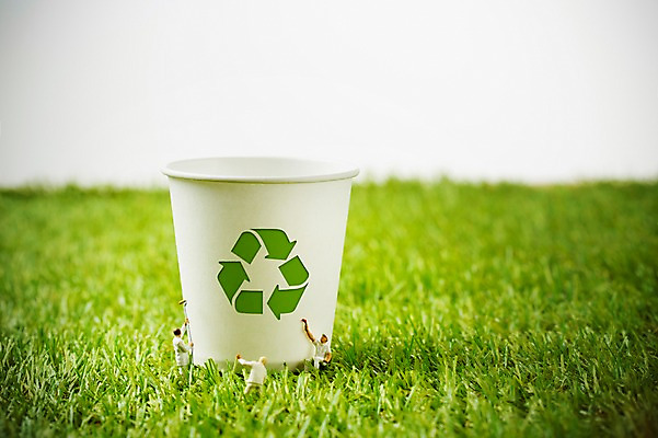 JPG 스튜디오촬영 식물 편집 편집이미지 백그라운드 실내 잔디 사람없음 3D 환경 재활용 미니어처 피규어 종이컵 재활용표시 편집3D 표시 내부 컵 모형 일회용 디지털합성 친환경 파일형식