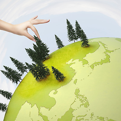 JPG 스튜디오촬영 나무 식물 편집 편집이미지 손 지구 백그라운드 실내 사람 신체부위 3D 자연보호 환경 나무심기 편집3D 자연 내부 보호 디지털합성 심기 파일형식