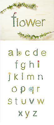 식물 문자 알파벳 영어 꽃 일러스트 캘리그라피 타이포그라피 사람없음 세트 소문자 조합형타이포 국내일러스트 AI파일 파일형식 벡터