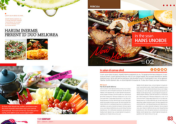 PSD 템플릿 편집 표지디자인 북디자인 표지 음식 백그라운드 북커버 요리 팜플렛 사람없음 꼬치 잡지 바비큐 동남아음식 월남쌈 표지샘플 이미지템플릿 간행물 베트남음식 파일형식