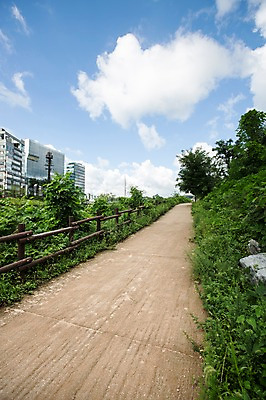 포토 JPG 주간 식물 길 하늘 풍경 빌딩 사람없음 야외 울타리 도시풍경 맑음 산책로 잡초 국내포토 자연요소 날씨 건물 담장 도시 파일형식