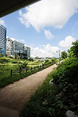 포토 JPG 주간 식물 길 하늘 풍경 빌딩 사람없음 야외 울타리 도시풍경 맑음 산책로 잡초 국내포토 자연요소 날씨 건물 담장 도시 파일형식